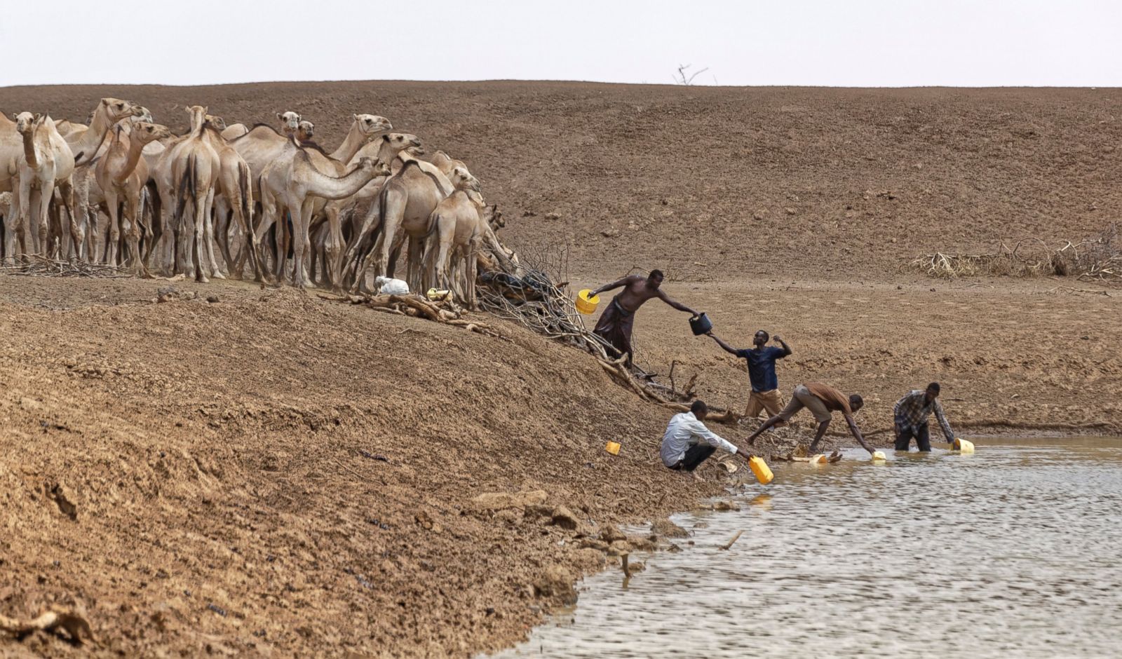 AP 09 Kenya Drought MEM