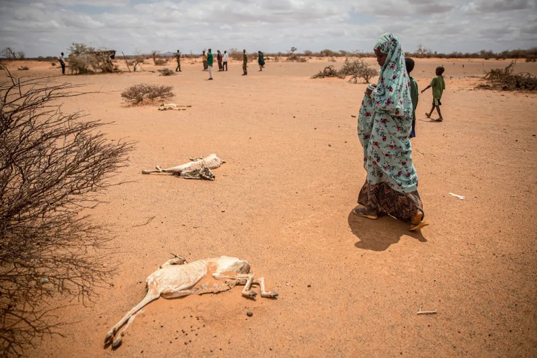 somalia drought