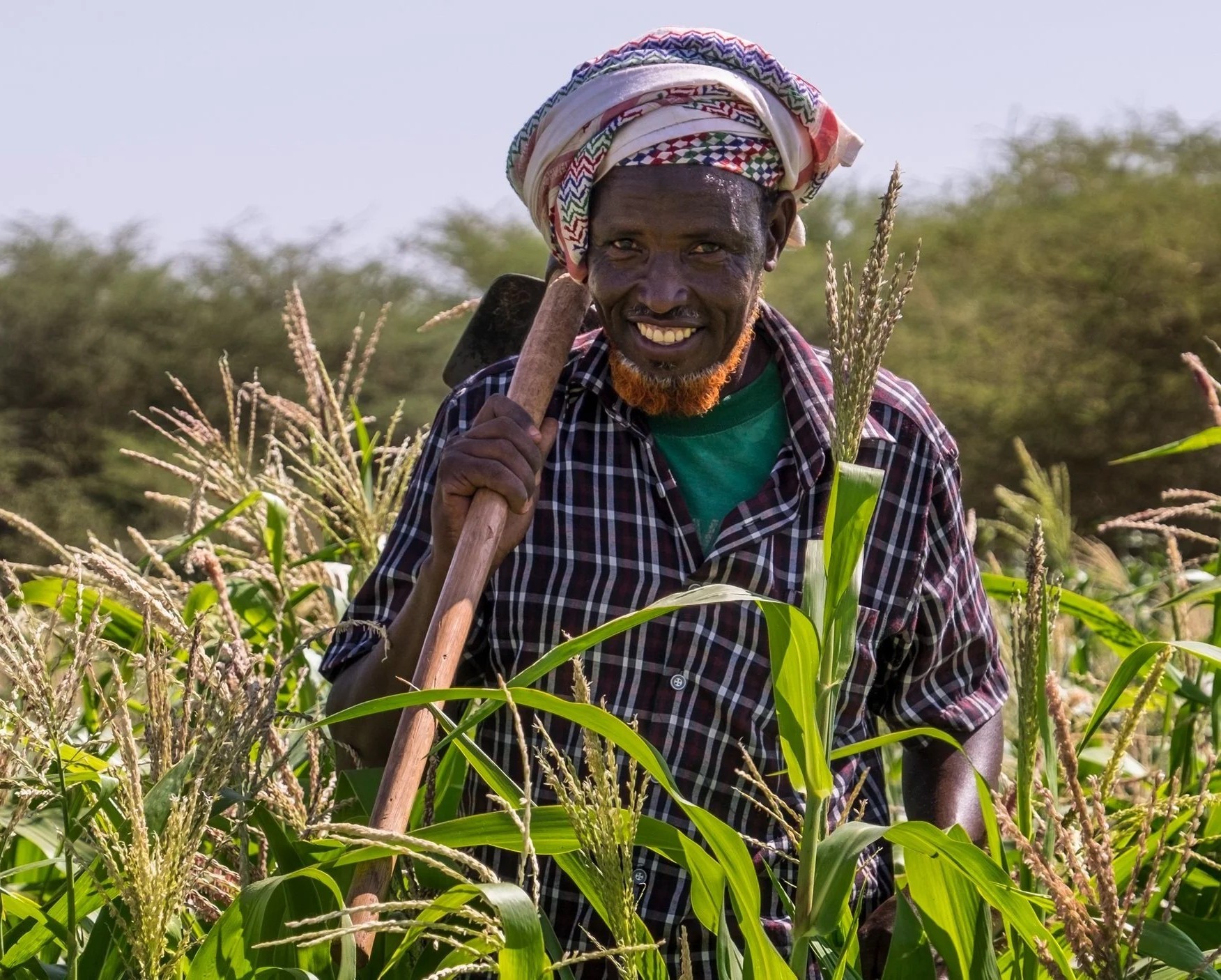 farmer abdishakur mohamed 50 working in a field near unaa village dollow somalia 33799110433 o 1 1